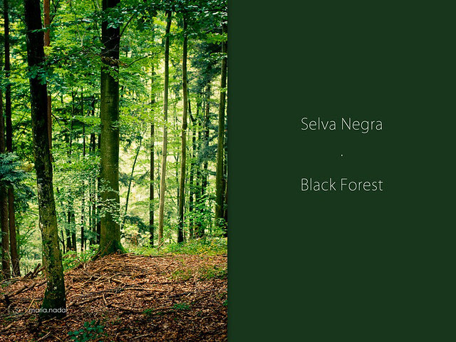 Collage Selva Negra