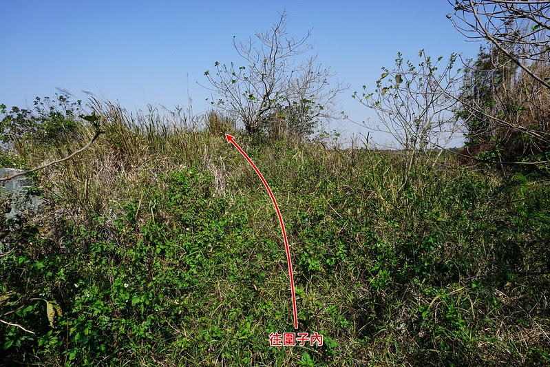 DSC08762