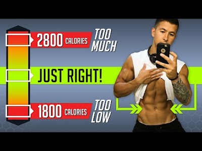 6+ How Many Calories Per Day For You