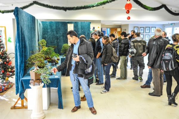 Στιγμές από τη διημερίδα "Hellenic Bonsai 2014"