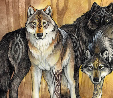 images Realistic Color Wolf Drawing clipart library