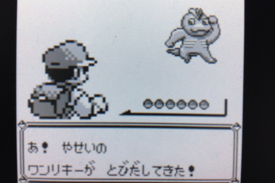 うさぎの隠れ家 ポケットモンスターを遊びつくす日記 第5話