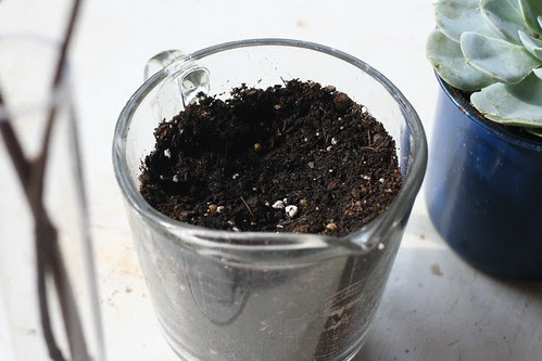 planter