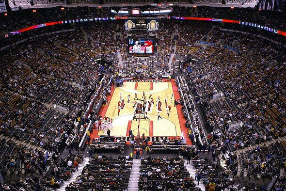 toronto raptors
