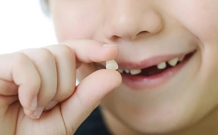 Tips Para Ayudar A Soltar Un Diente De Leche Ayudar A Caer Diente De Leche Espacio Dental Jaen