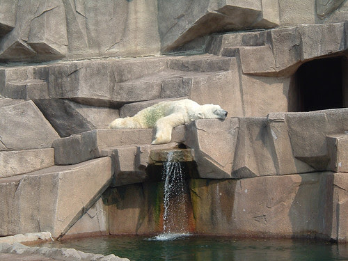 All Tuckered Out