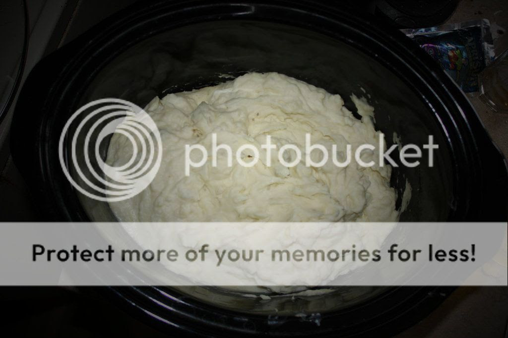 IMG_8305_zps2e0df09d