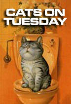 CATSTUESDAYLOGO144