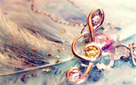 cute  brooch  feather   wall