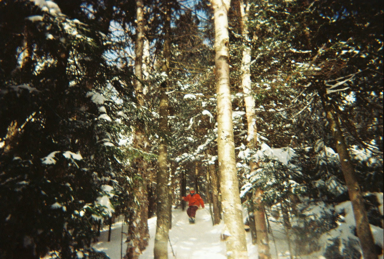 http://24.media.tumblr.com/tumblr_lgw75e4brx1qhr658o1_1280.jpg