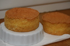 Berry Surprise Cake (Tuesdays with Dorie)