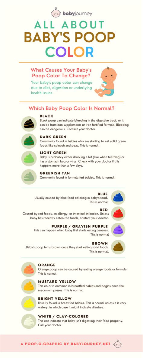  your baby poop color chart explained baby journey