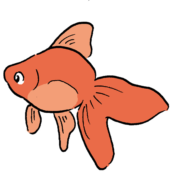 金魚２のイラスト かわいいフリー素材が無料のイラストレイン