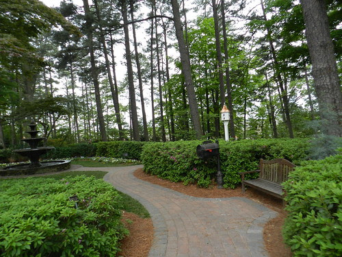 naturenotesDSCN6434