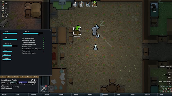 Room Size Rimworld
