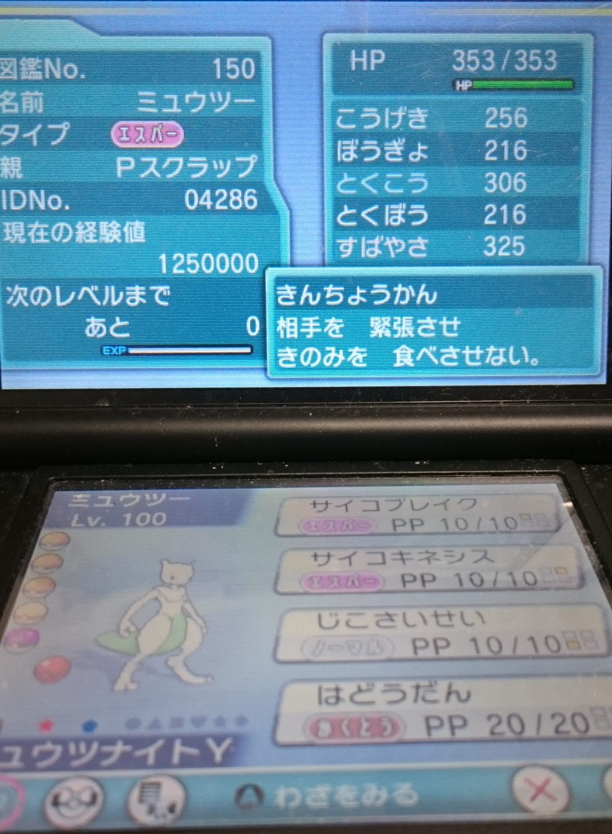 Xy Oras 第六世代 乱数調整 配達員乱数 完全版 続 大人でもポケモン好き