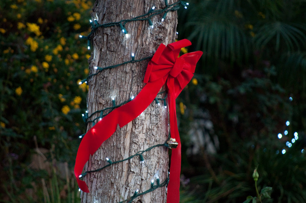 20091122Sunday-28