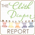 The Cloth Diaper Report