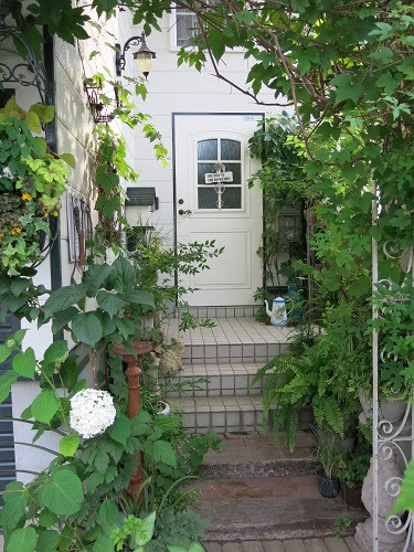 北海道 オカピのガーデニングブログ