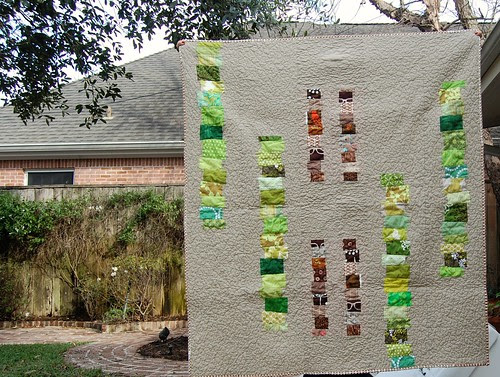 FO: Earthy Strips