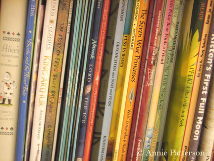 And here's just a pretty picture of one of my rows of books, with a couple 