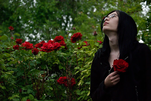 look to the roses