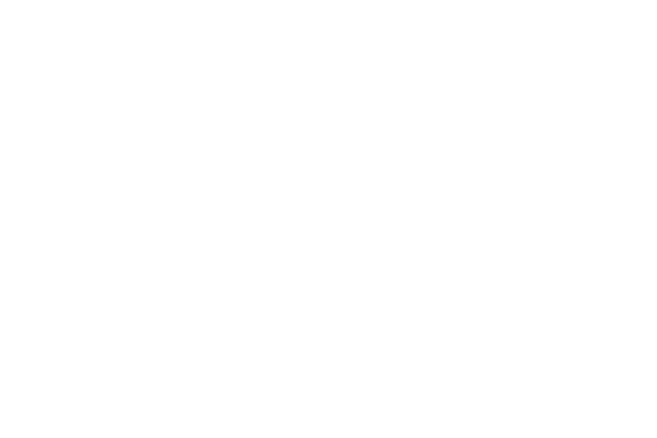 レース丸 レース素材専門サイト Da Lace ダ レース