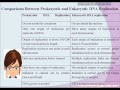 Chromosomes Of Prokaryotes
