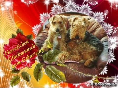 alles gute zum geburtstag jens