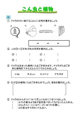 ドリルズ 小学3年生 理科 の無料学習プリント昆虫と植物