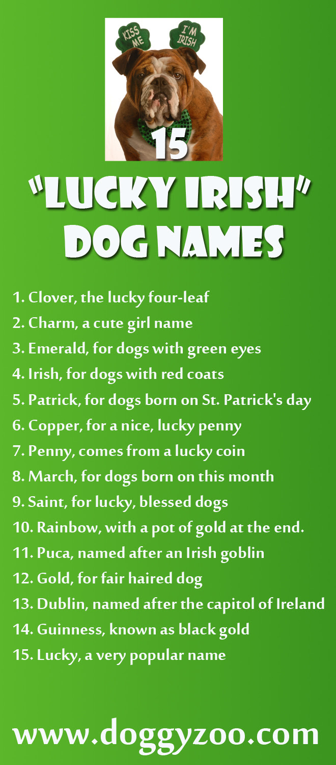 15 “Lucky Irish” Dog Names - DoggyZoo.comDoggyZoo.com