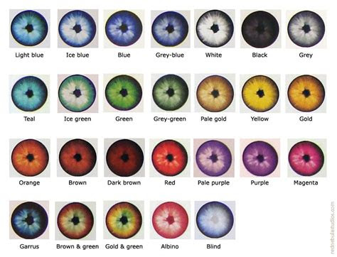  rare eye colors chart google search eye color chart rare eye