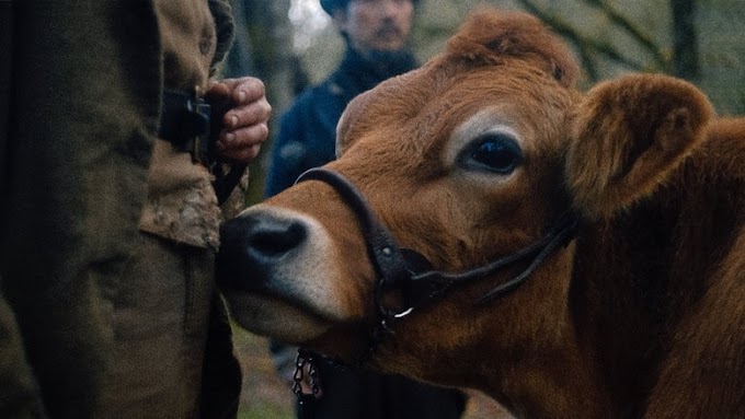 First Cow 2020 film completo ita sottotitolo Scarica in linea 1080p
altadefinizione01
