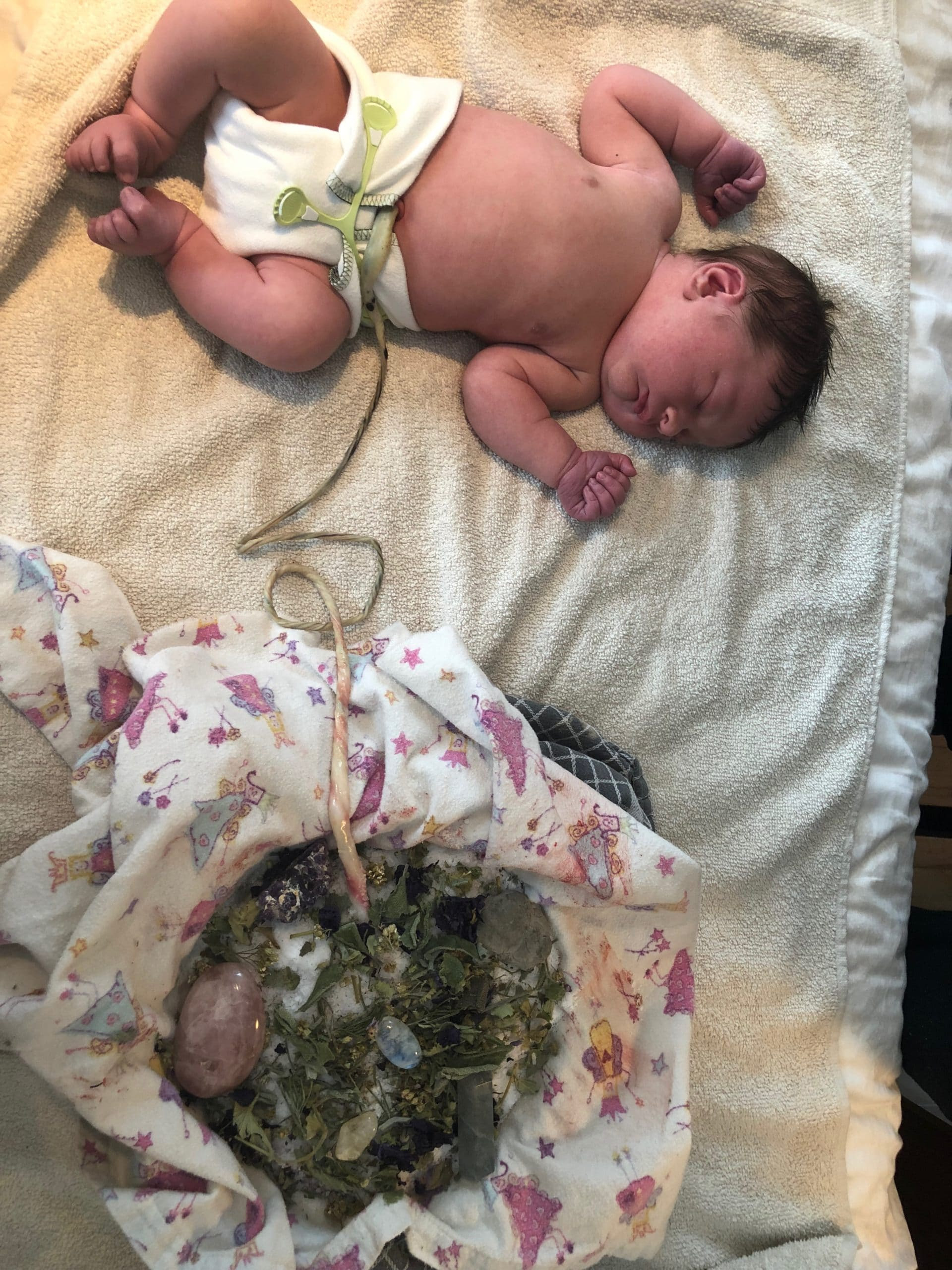 Le Placenta Lotus Pour Une Incarnation Optimale Quantik Mama