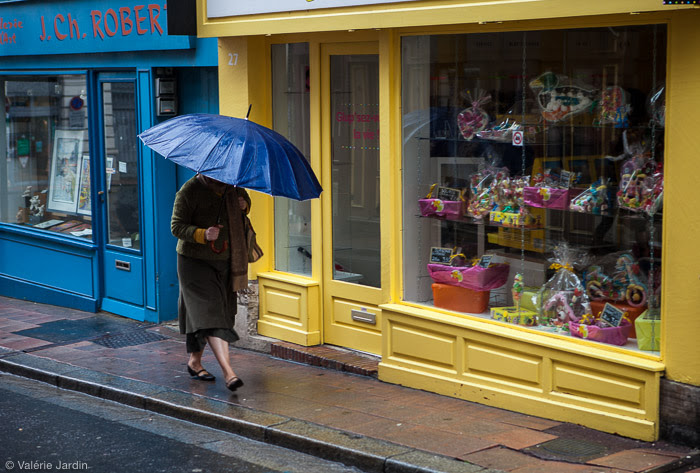 Choosing a color theme then you are out on a photo walk can be a fun project. Here my color theme was blue!