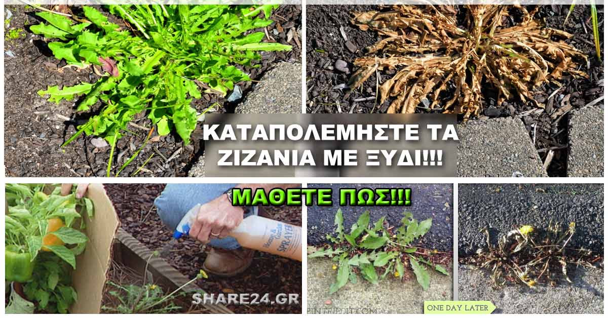http://ift.tt/1TV2E5R