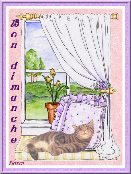Q Tbn And9gcsb2bfmqoolyl8plhdhcfssynbam5dpmbhlva Usqp Cau