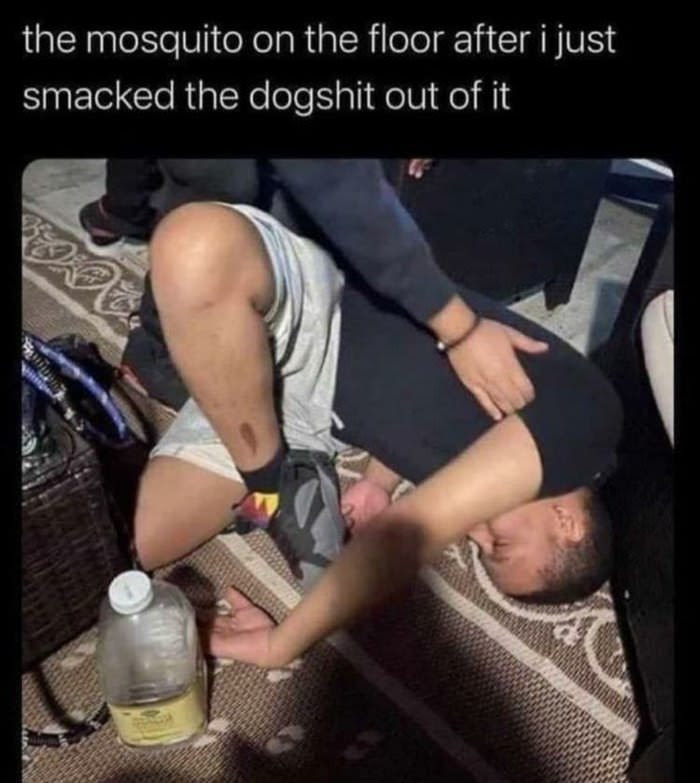 dailyhaha funny pictures