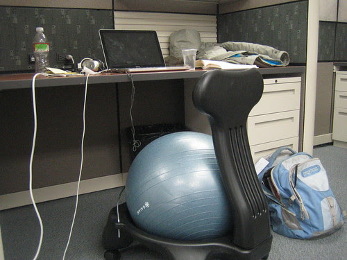 Finding the Perfect Office Chair: Aeron vs. Swiss Ball vs ...