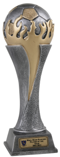 Special Offer Trophies World Cup Olympic Flame Trophy