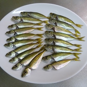 アジ サバ イワシの食べ方 防波堤 堤防 波止のサビキ釣り完全攻略