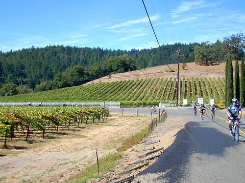DSCN2910.JPG