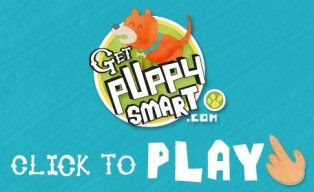 Get Puppy Smart