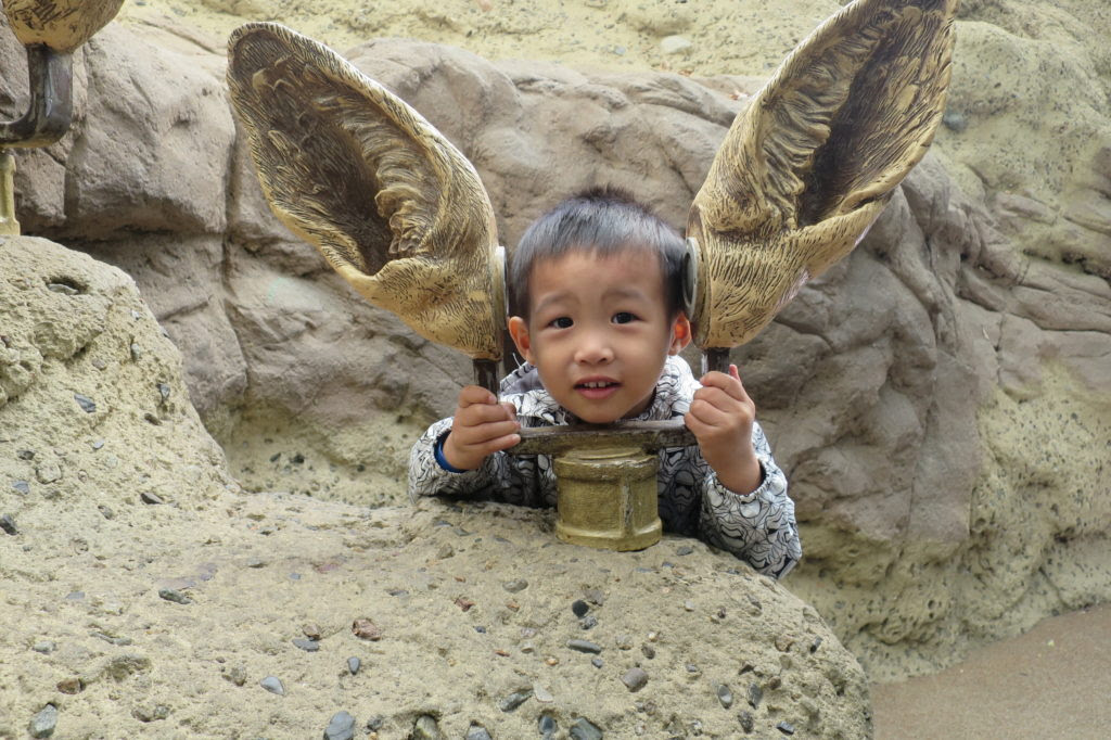 20160925135121.jpg