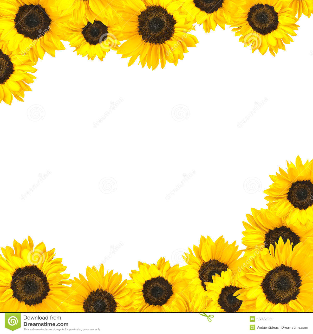 Sunflower Border Clipart | Free download on ClipArtMag