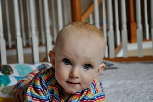 Sprout (and a smidge of the TNT Quilt)