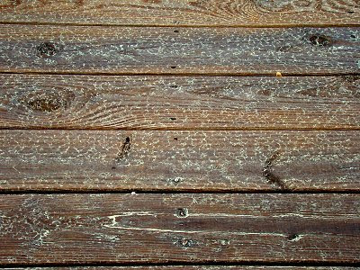 Deck floor after rain