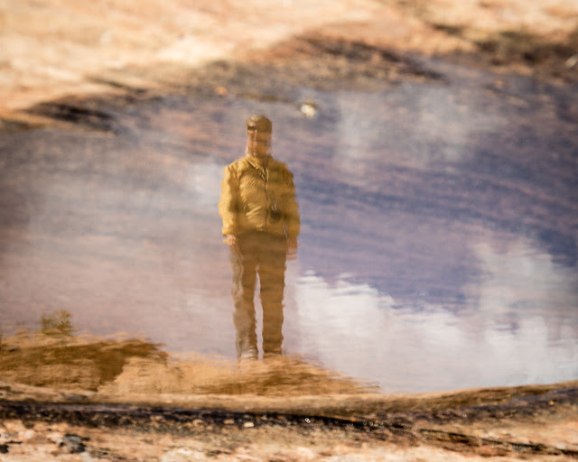 reflection of Shelley
