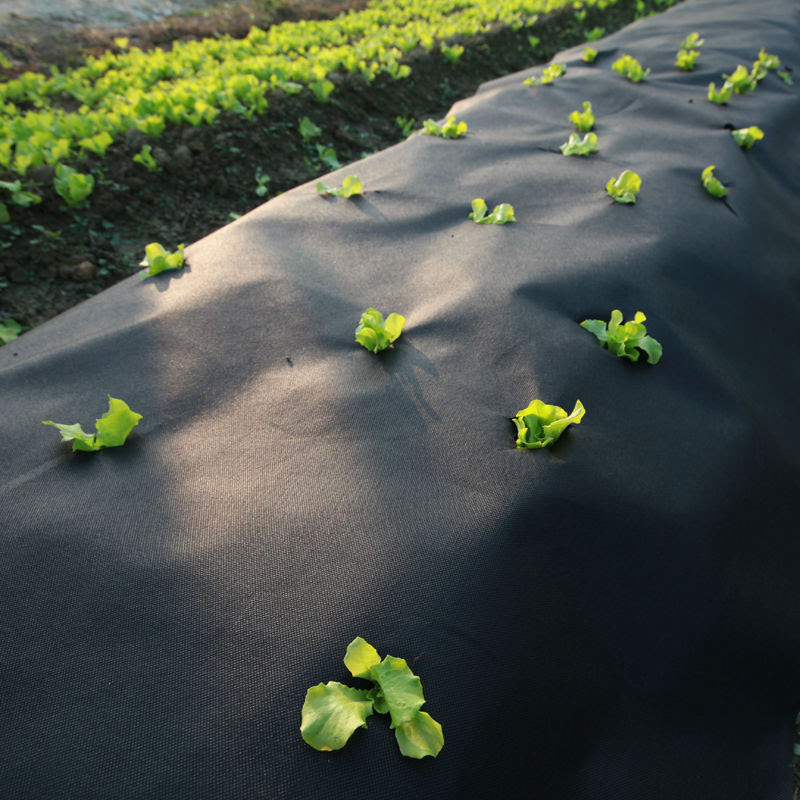 Control 100gsm Black Landscape Ground Cover Fabric Vegetable Garden 