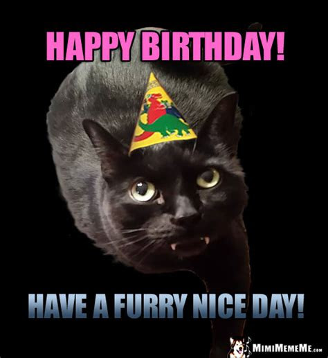cat birthday fun furry happy birthday humor meow valous purr day